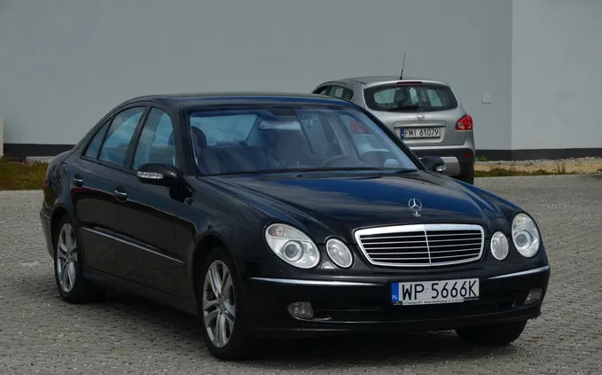 mercedes benz klasa e lubuskie Mercedes-Benz Klasa E cena 25500 przebieg: 280000, rok produkcji 2004 z Marki